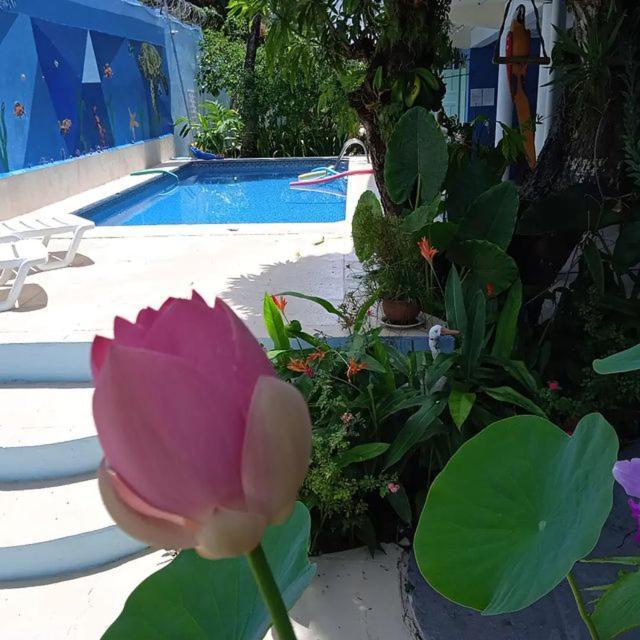 Porto Bahia Hotel Porto Seguro Buitenkant foto