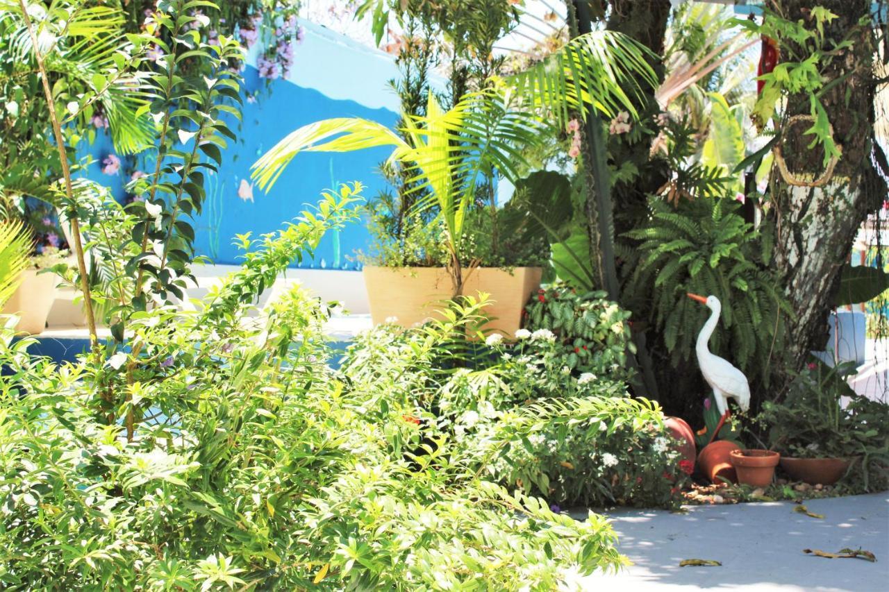 Porto Bahia Hotel Porto Seguro Buitenkant foto